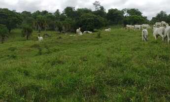 Imagem 5: Fazenda à Venda em Crixás (GO) 30 Alqueires Estrutura Completa