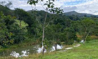 Imagem 5: Arrendo fazenda 32 alqueires toda formada brachiaria