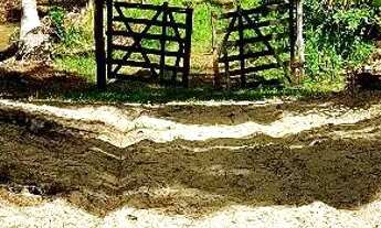 Imagem 7: Vendo sítio no miai em Coruripe!