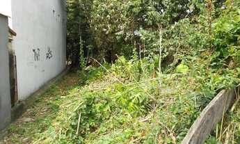 Imagem 2: Terreno em Vila Pereira Barreto - São Paulo, SP