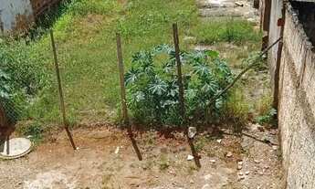 Imagem 2: Vendo um lote em Arniqueiras