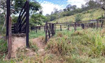 Imagem 6: Arrendo fazenda 32 alqueires toda formada brachiaria