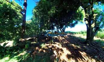 Imagem 4: Sítio à venda, 121000 m² por R$ 1.750.000,00 - Centro - Toledo/PR