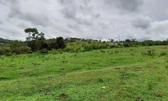Imagem 7: Fazenda a venda em Mineiros - Goiás!