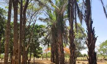 Imagem 6: Excelente Fazenda de 29 Hectares no Córrego do meio em Planaltina df