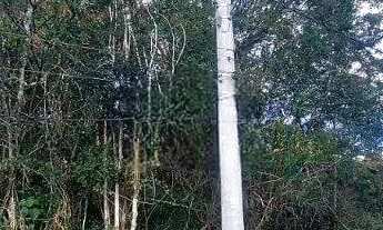 Imagem 3: Lote/Terreno para venda tem 1362 metros quadrados em Los Álamos - Vargem Grande Paulista