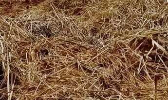 Imagem 6: Venda-se está chácara de 6 litros totalizando 8.267,50 mil M2 no Município de Muqui/ES