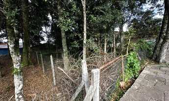 Imagem 6: Terreno - Bairro Belvedere