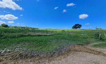 Imagem 3: Fazenda em Araruama com 52 Alqueires - São Vicente de Paula - Araruama - RJ