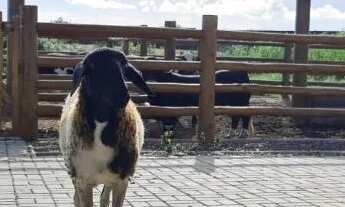 Imagem 2: Fazenda Real 1 - Lote Próximo a Área de Lazer