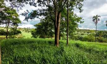 Imagem 7: Vendo 15 hectares de terra dentro da expansão urbana de Goiânia