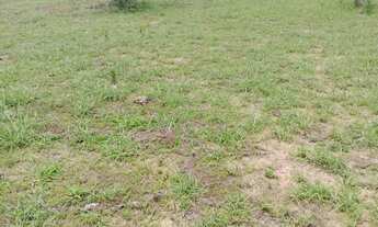 Imagem 3: Fazenda Fazenda / sítio com venda por R$420.000