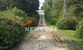 Imagem 4: Lote em Rua Quatis - Colinas - São Francisco de Paula/RS