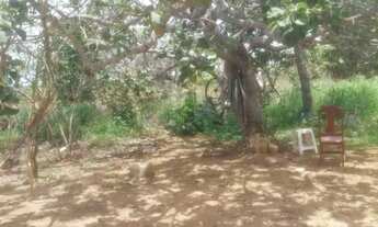 Imagem 3: Sítio em formoso de minas