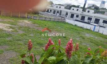 Imagem 6: Lote em Rua das Orquídeas - Chácara Primavera - Campinas/SP