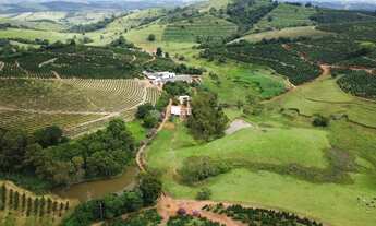 Imagem 6: CAFÉ PRODUÇÃO E QUALIDADE