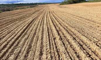 Imagem: Fazenda MG Bonfinópolis