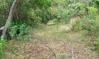 Imagem: Vende se chácara em bela vista de Goiás