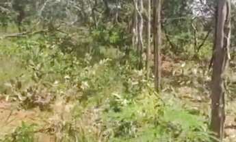 Imagem: Lote Colombo Segueira