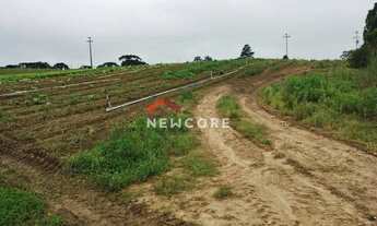 Imagem 5: Chácara em Rua Campestre - Colônia Murici - São José dos Pinhais/PR