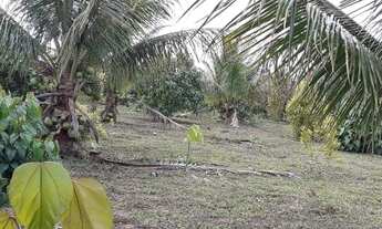 Imagem 5: Vendo Excelente Sitio Em Valença ba