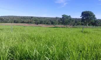 Imagem 6: Excelente propriedade com 306 hectares a 34 km de Cocos - BA