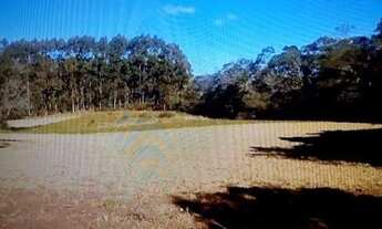 Imagem 7: Lindo Sítio de 37 hectares.!!! st483