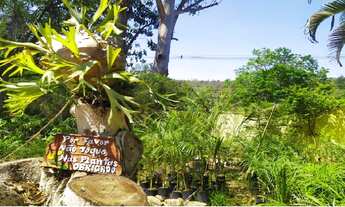 Imagem 4: Fazenda/Sítio/Chácara para aluguel e venda com 107300 metros quadrados com 10 quartos