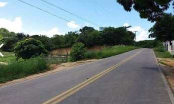 Imagem 3: Terreno prox Praia Mangue Seco