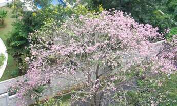 Imagem 7: APARTAMENTO - MORUMBI - SP