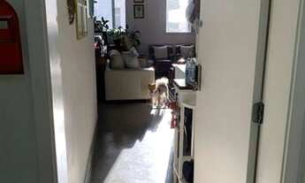 Imagem 2: APARTAMENTO - JARDIM LAS PALMAS - SP