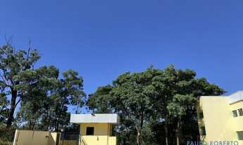 Imagem 6: GALPÃO - JARDIM ALVORADA - SP