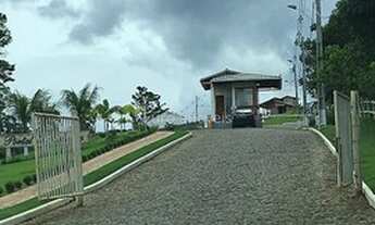 Imagem 2: Ref.: 9066 - Lote ou Terreno - Belmiro Braga