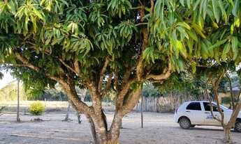 Imagem 5: Sítio dos sonhos, 2,5 hectares com fundos para lagoa em Águas Claras