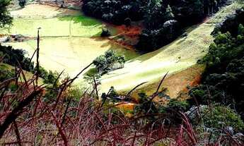 Imagem 3: Chácara troco em carro moto