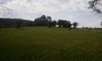 Imagem 6: Porto Alegre - Sítio - Lami