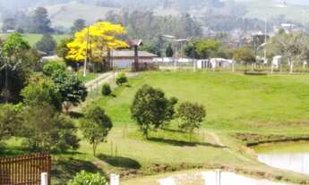 Imagem 7: LINDO SITIO 4 HECTARES - LOCALIDADE DE SUL BRASIL / TAMANDUA - RIO DO CAMPO -SC