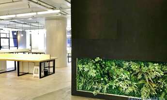 Imagem 5: COMERCIAL - PARAÍSO - SP