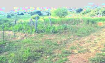 Imagem 3: Lotes de terreno