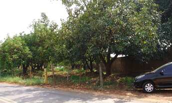 Imagem 3: área - Betel - Paulínia