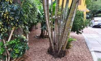 Imagem 3: Porto Alegre - Casa Padrão - Teresópolis