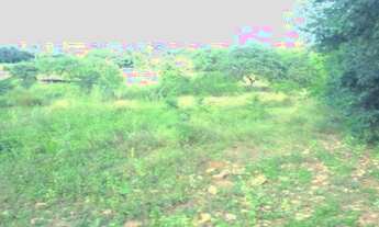 Imagem 2: Lotes de terreno