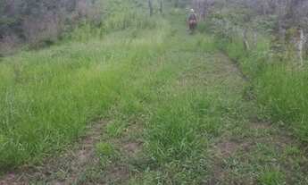 Imagem 1: Vende-se 20 alqueires de Terra um pedaço do Paraiso na terra