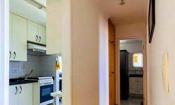 Imagem 3: APARTAMENTO - VILA CAMPESTRE - SP