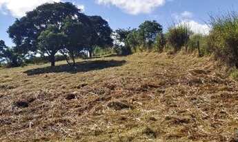 Imagem 6: AREA - MONTERREY - SP