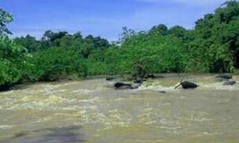 Imagem 5: Lote em condomínio de chácaras Aldeia dos pilões