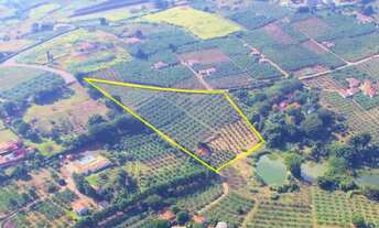 Imagem 2: SÍTIO - MACUCO - SP