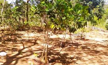 Imagem 6: Chácara a 5 km do bairro panorama 2