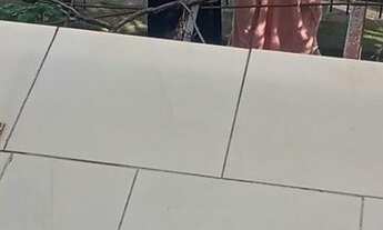 Imagem 6: Quitineti grande