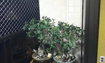 Imagem 5: Porto Alegre - Apartamento Padrão - Partenon